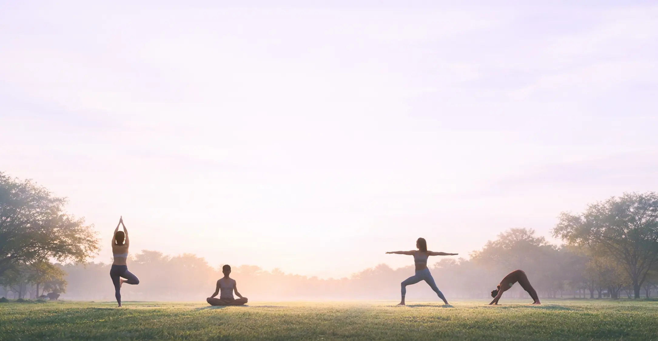 Aperçu de la carte des studios